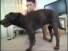 Sweetheart, bored, plays with her evil dog.